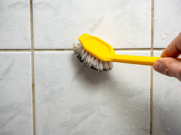 Best Mold Testing  in Briar, TX