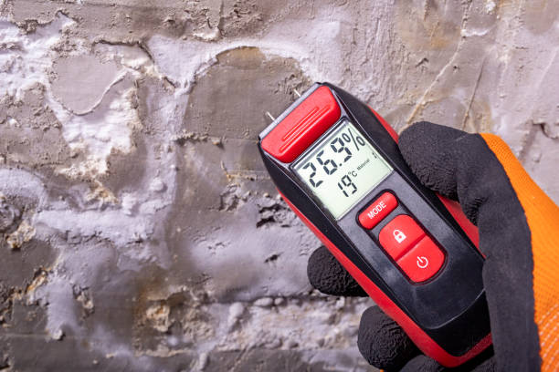 Best Mold Removal Process  in Briar, TX