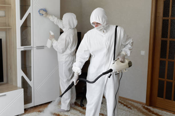 Mold Removal Process in Briar, TX
